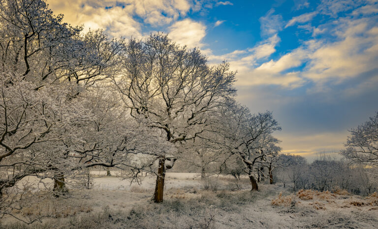 A blanket of snow covers the fields and hills around Riley Green.  The sun making a brief appearance to add a splash of colour in the sky.