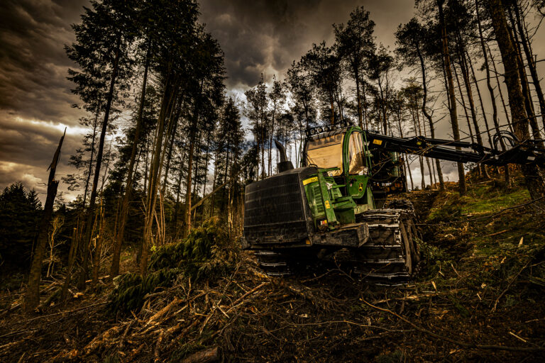 The tragic felling of thousands of trees at Entwistle reservoir.  The trees around the reservoir have been decimated by disease and the hillsides in places are completely bare where there were trees everywhere.