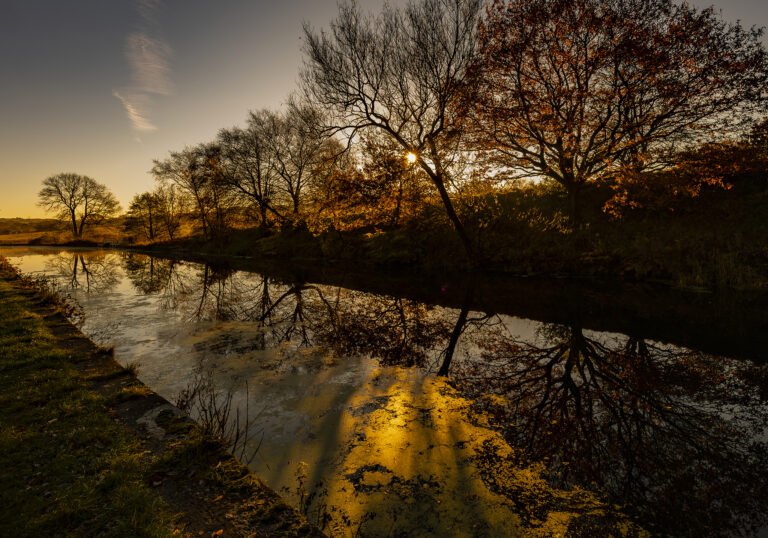 A golden morning in Riley Green.  Beautiful warm sun at dawn with a stunning clear blue sky.