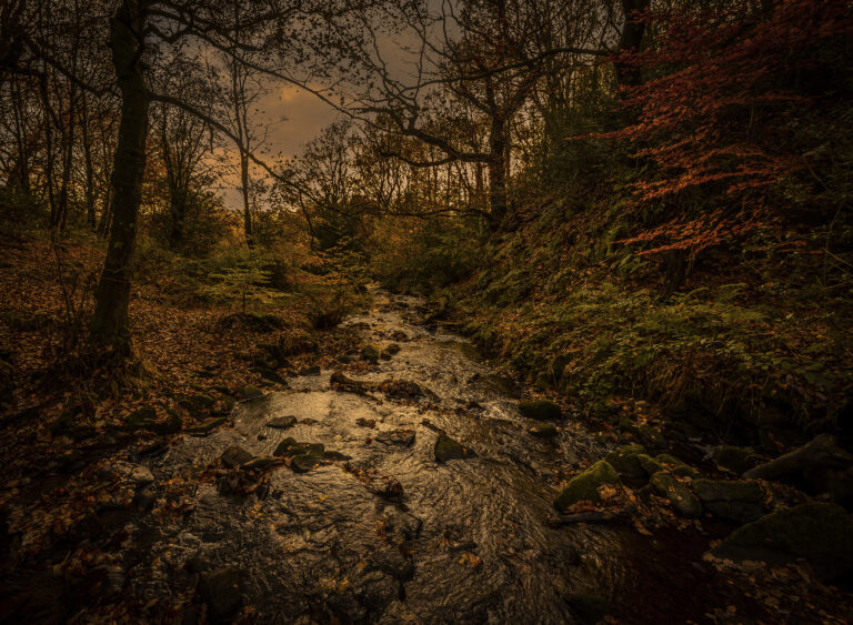 A very early morning walk around the old Stubbins estate near Ramsbottom.  Dark and moody till the sun rises. Brown winter colours everywhere with a few brighter colours here and there.