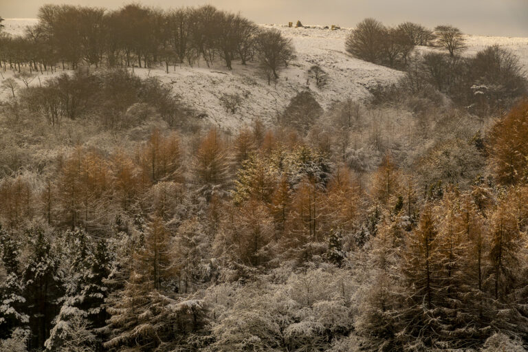 After a few hours snowfall Calf Hey is looking picturesque.  Cloaked in white the landscape is calm and the only noise is the birds.  The early morning sun casts it’s light revealing the shapes and contours of the hills and valleys.