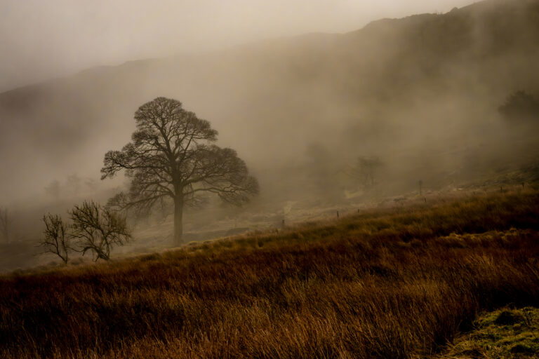 A misty calm Calf Hey early in the morning.  One of those quiet days when the mist silences any sound.