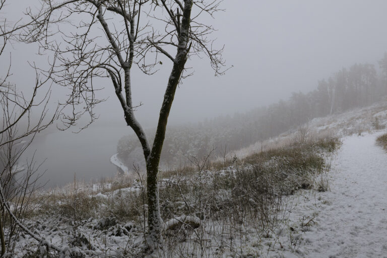 Snowfall around Darwen and Entwistle.  A combination of mist and snow has made some very simple but striking winter pictures.