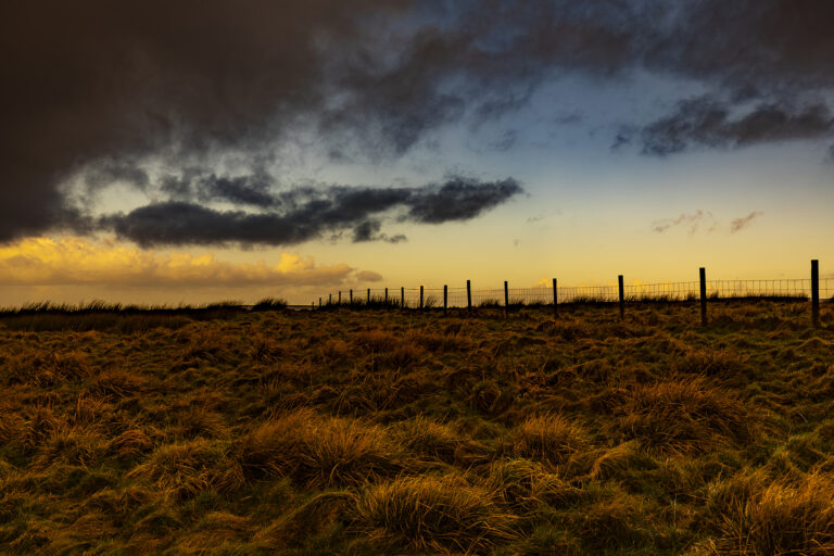 Rain is fast approaching over the moors. The morning sun is in and out creating some graphic black shadows and warm strong light.