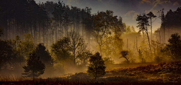 Egerton on a misty cold morning in spring.  The low lying misty reveals differing colours and layers as it slowly gets burnt away by the sun.