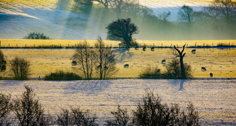 Freezing cold dawn in Hoghton and Riley Green. The canal is frozen and the open skies keep the temperature down all day.