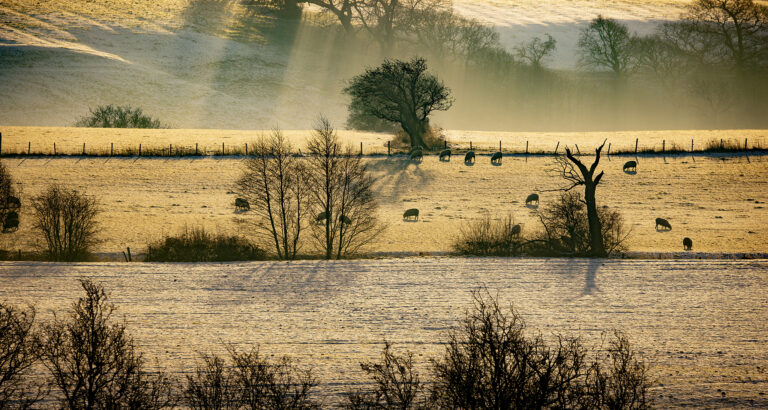 A frosty cold morning in Riley Green.   Everywhere has a crisp white covering as the winter sun starts to rise.