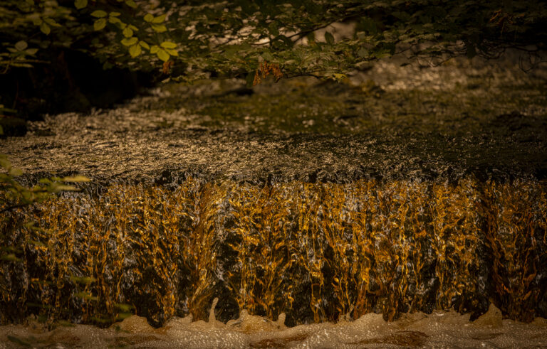 After days of rainfall the moors are wet and muddy and on a really stormy day bathed in fiery sunlight from behind the racing clouds.