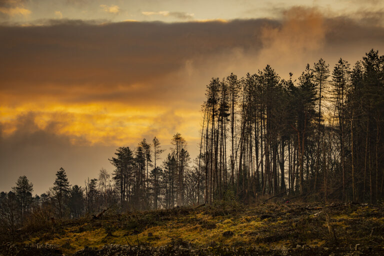 A glowing sunrise at Entwistle Reservoir before turning cloudy and dull.  An hour later torrential rain replaced the blue skies and sun.