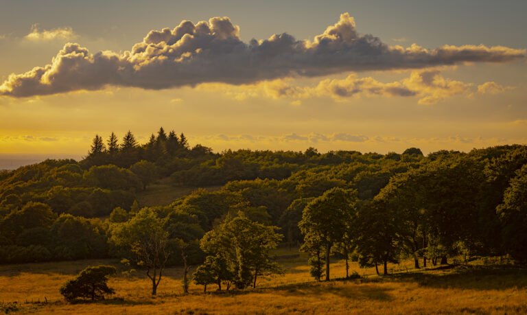 A beautiful summer’s evening around Tockholes.  The pennines come to life in the rich warm sunset.