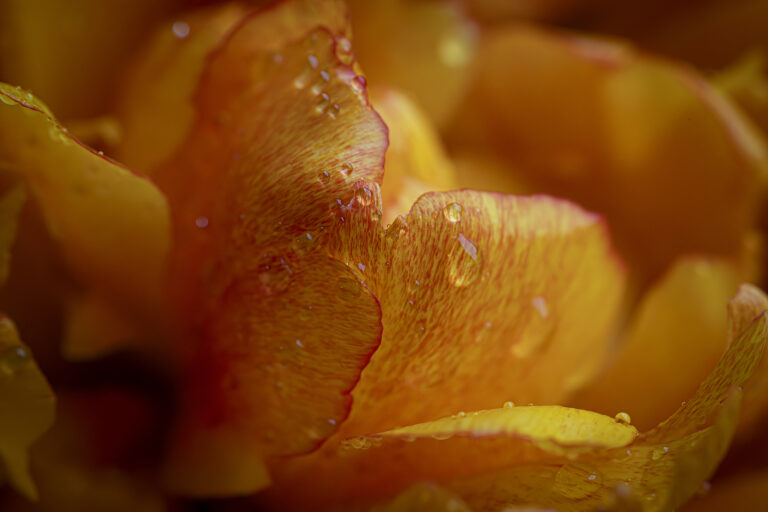 Glowing Yellow.
