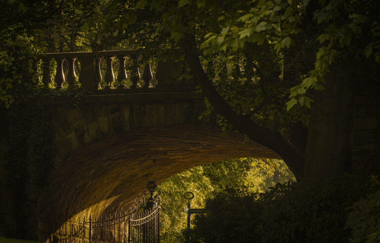 Avenham Park very early in the morning.   The first sunlight creates stunning patterns of light through the trees and across the fields and paths.