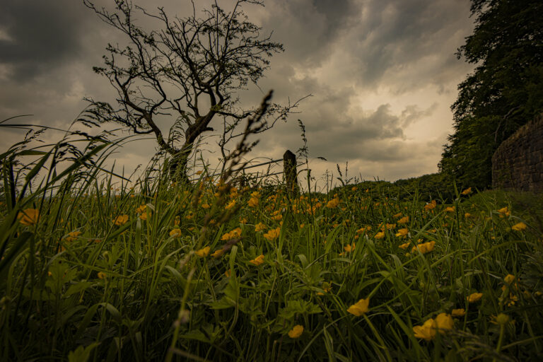 A short walk around a couple of pathways in Hoghton.   The ever present threat of rain in the air. Hazy sun and fast moving clouds break up a stormy sky.