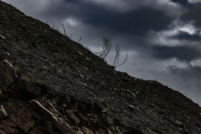 Holcombe Hill after the grass fires.   A normally picture postcard location looks barren and dramatic. Just shows how fragile the countryside is in adverse weather.