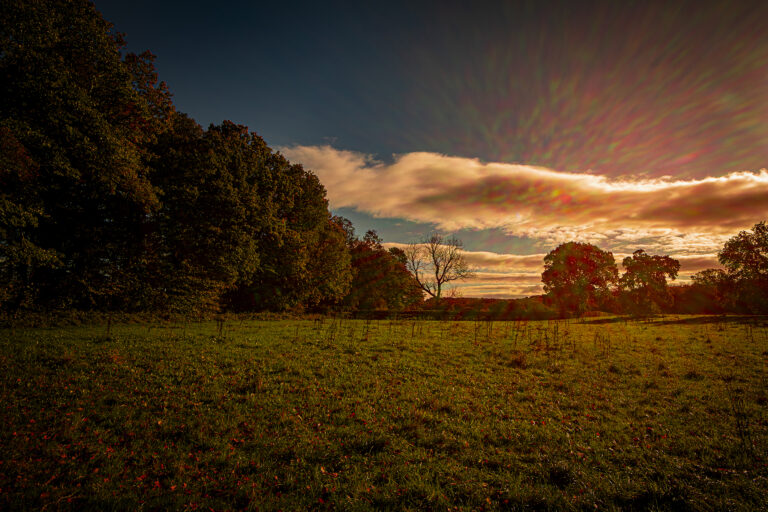 The Lodge in Hoghton on a cold but bright Autumn morning.  The open skies and low strong sunlight create lots of three dimensional shadows and shapes.