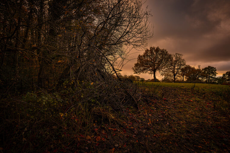 Walking around Hoghton early in the morning as the light changes rapidly.  Open blue skies and warm sunlight is the best kind of light this time of year.
