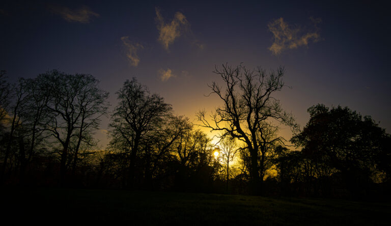 Golden Hour in The Lodge on a late autumn afternoon.  A very quick walk around the paths and through the woods as the sun rapidly vanishes.  The combination of vivid blue skies and warm sunlight has created some stunning saturated colours.