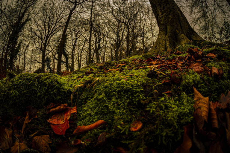 Colour under darkened skies.  Sometimes the darkest conditions can be really good for striking moody images.  Especially in the colder months when sunlight is rare.