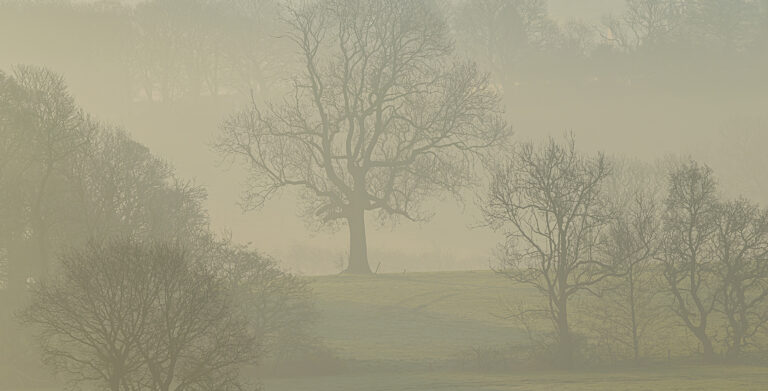 Early morning fog is lifting as the sun burns it away.  A peaceful silent atmosphere surrounds the landscapes.