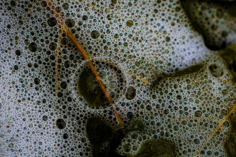 Bubbles.