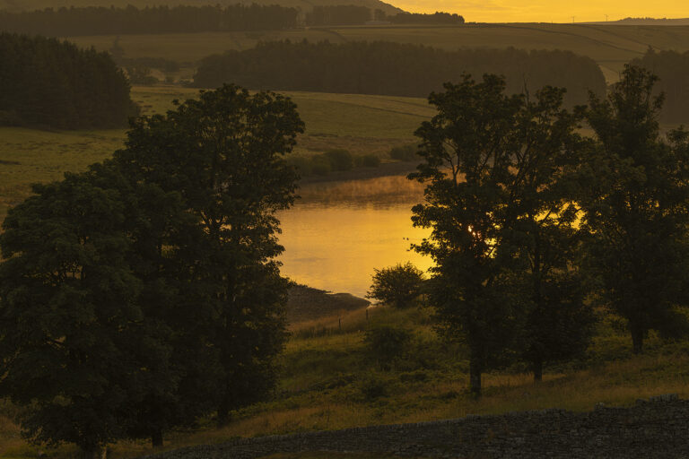 A brief glimpse of early morning sun at Calf Hey Reservoir.  The sun appeared for about half an hour on a very grey and murky morning.   The “golden hour” light adds a warm wash of colour before before the sun vanished behind the clouds.