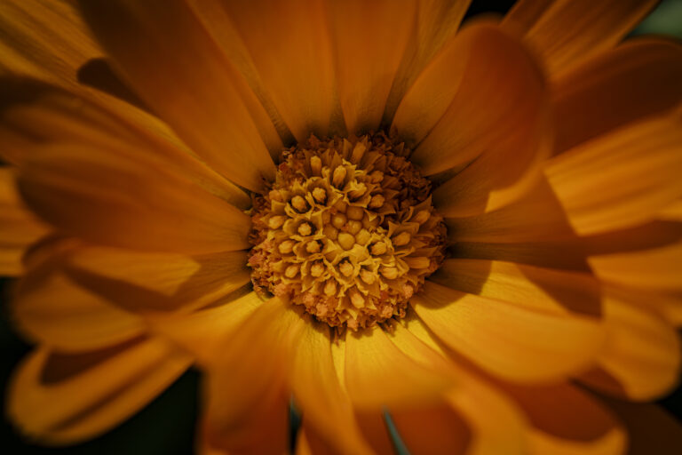 Yellow and Orange.