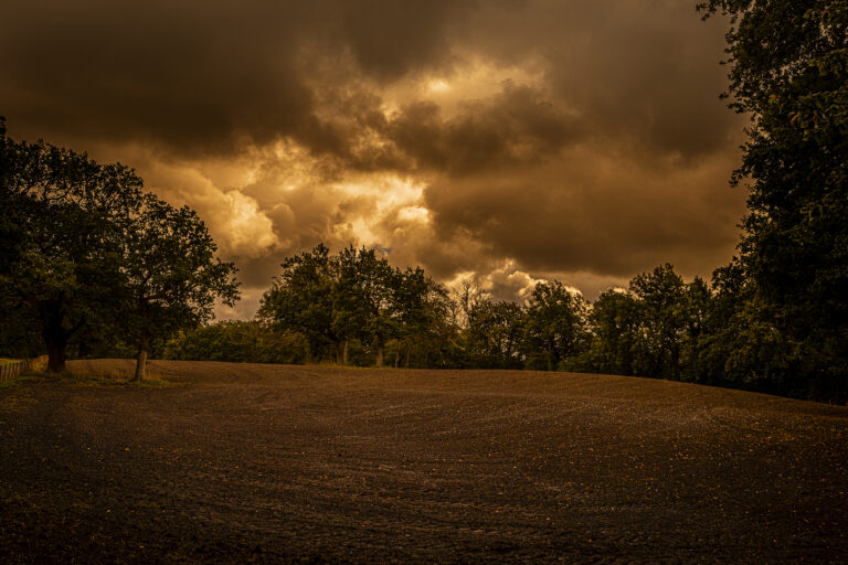 A very stormy day in early Autumn.  Rapidly changing light as the weather moves from rain to sunshine.