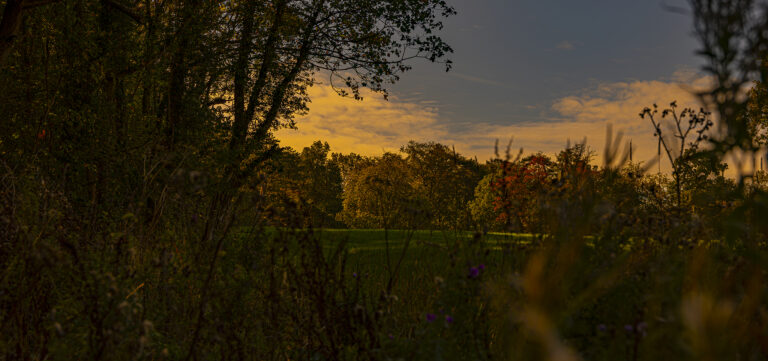 A very brief burst of sunshine in between rain and heavy clouds.