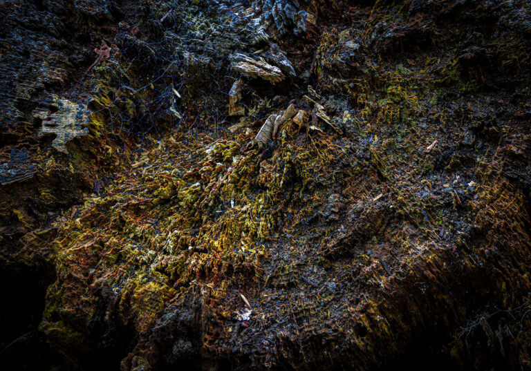 Wood textures.